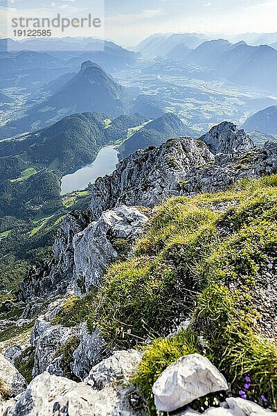 Hintersteiner See in den Bergen  Schaffauer  Wilder Kaiser  Tirol  Österreich  Europa