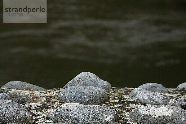 Mit grauen Steinen befestigter Uferrand  Hintergrund Fluss  aufgenommen mit Tiefenschärfe