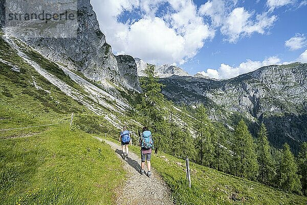 Drei Wanderer auf dem Wanderweg zum Hochkönig  Salzburger Land  Österreich  Europa