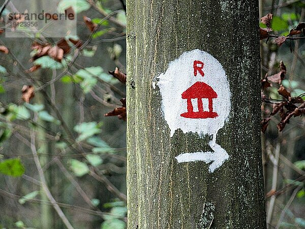 Wegweiser  Rot auf Weiß  an einem Laubbaum  Weg zur nächsten Hütte  Hintergrund Wald in Unschärfe
