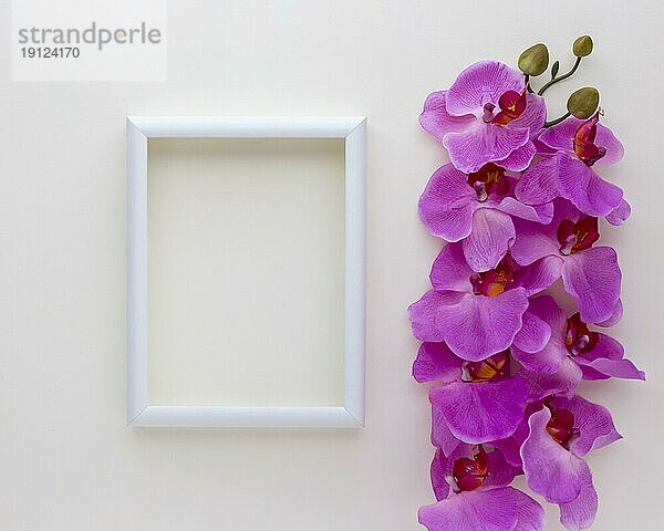 Erhöhte Ansicht leeren Rahmen mit rosa Orchidee Blumen weißen Hintergrund