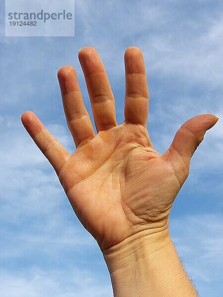Ausgestreckte Hand als Handzeichen  Take five  Hintergrund blau-weißer Himmel