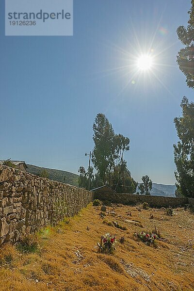 Kleiner Friedhof mit Gräbern  Isla del Sol  Insel der Sonne  Comunidad Yumani  Gemeinde Yumani  spirituelles Zentrum  Titicaca See  Höhenlage 3.812 m NN  Gegenlich  Sonnenstrahlen  Steinmauer  Bäume  Trockenheit  blauer Himmel  Altiplano  Department La Paz  Bolivien  Südamerika