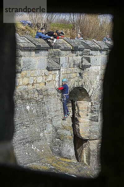 Festung Königstein: Chef klettert auf Arbeit
