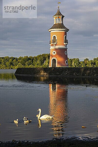 Der Leuchtturm in Moritzburg ist ein Binnenleuchtturm in Sachsen. Der Staffagebau entstand im späten 18. Jahrhundert als Teil einer Kulisse für nachgestellte Seeschlachten. Er ist der einzige für diesen Zweck gebaute Leuchtturm in Deutschland und gleichzeitig einer der ältesten Binnenleuchttürme der Bundesrepublik. Schwanenfamilie unterwegs