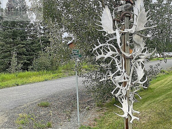 Geweihe hängen an einem Mast an einer Straße  Jagd  Haines Junction  Yukon Territory  Kanada  Nordamerika