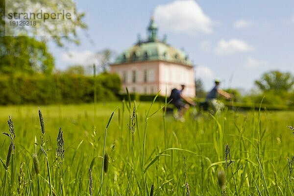 Fasanenschlösschen Moritzburg im Frühling