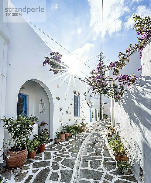 Weiße kykladische Häuser mit Blumentöpfen und lila Bougainvillea  Sonnenstern  malerische Gassen des Ortes Marpissa  Paros  Kykladen  Griechenland  Europa