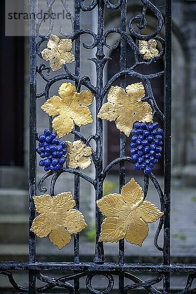 Schmiedekunst in Form von goldenen Weinblätter und Weinreben an einer Schmiedeeisernen Tür  St. Andrews  Grafschaft Fife  Schottland  Großbritannien  Europa