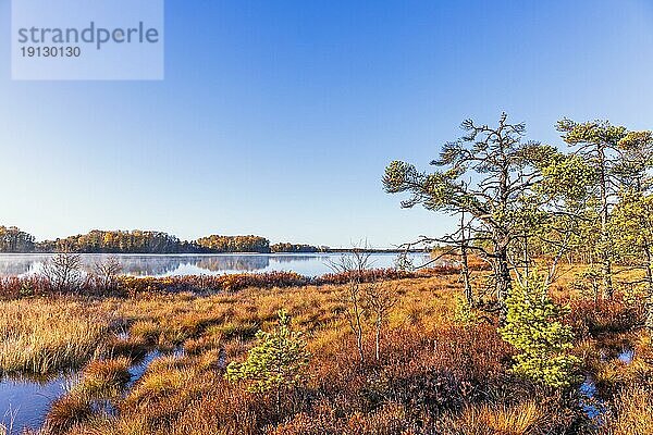 See bei einem Moor an einem schönen Herbsttag in der Wildnis  Schweden  Europa