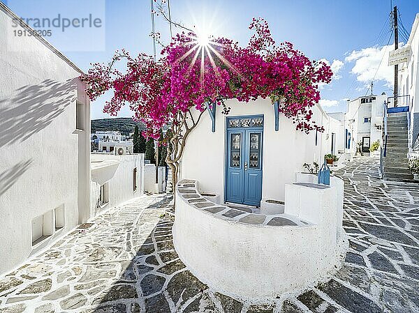 Weißes kykladisches Haus mit blauer Tür und rosa Bougainvillea  mit Sonnenstern  malerische Gassen des Ortes Lefkes  Paros  Kykladen  Griechenland  Europa