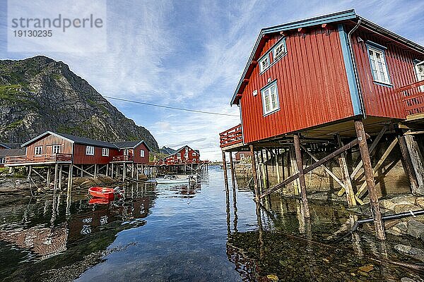 Traditionelle rote Rorbuer Holzhütten  auf Stelzen am Ufer  spiegeln sich im Wasser  Fischerdorf Å i Lofoten  Lofoten  Nordland  Norwegen  Europa