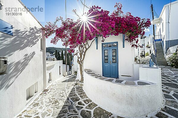 Weißes kykladisches Haus mit blauer Tür und rosa Bougainvillea  mit Sonnenstern  malerische Gassen des Ortes Lefkes  Paros  Kykladen  Griechenland  Europa