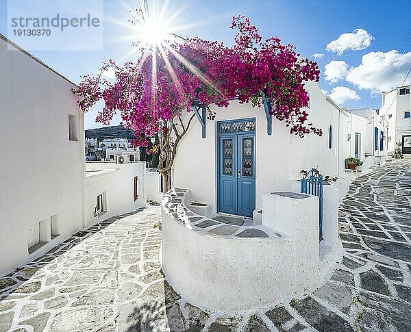 Weißes kykladisches Haus mit blauer Tür und rosa Bougainvillea  mit Sonnenstern  malerische Gassen des Ortes Lefkes  Paros  Kykladen  Griechenland  Europa