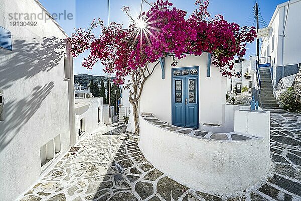 Weißes kykladisches Haus mit blauer Tür und rosa Bougainvillea  mit Sonnenstern  malerische Gassen des Ortes Lefkes  Paros  Kykladen  Griechenland  Europa