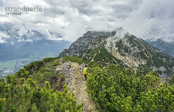 Bergsteigerin am mit Latschenkiefern bewachsenen nebeligen Grat des Katzenkopf  Ausblick auf wolkenverhangene Berge des Wetterstein  Ammergauer Alpen  Bayern  Deutschland  Europa