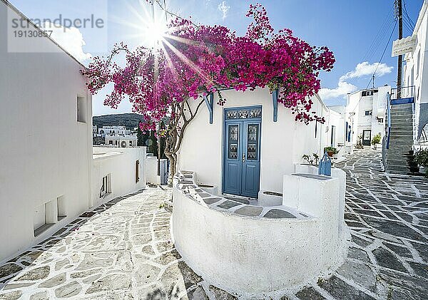 Weißes kykladisches Haus mit blauer Tür und rosa Bougainvillea  mit Sonnenstern  malerische Gassen des Ortes Lefkes  Paros  Kykladen  Griechenland  Europa