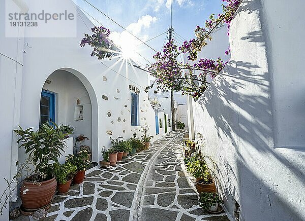 Weiße kykladische Häuser mit Blumentöpfen und lila Bougainvillea  Sonnenstern  malerische Gassen des Ortes Marpissa  Paros  Kykladen  Griechenland  Europa