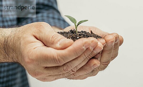 Seitenansicht männliche Hände halten Erde kleine Pflanze