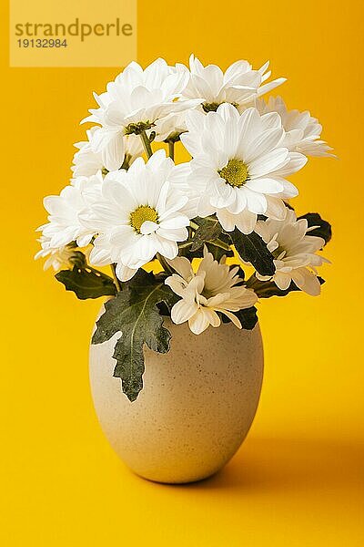 Vorderansicht weiße Blumen Vase