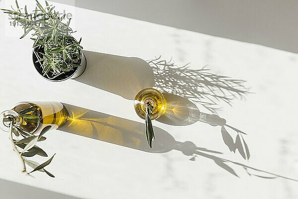 Erhöhte Ansicht Rosmarin Topf mit zwei Oliven Flasche Sonnenlicht