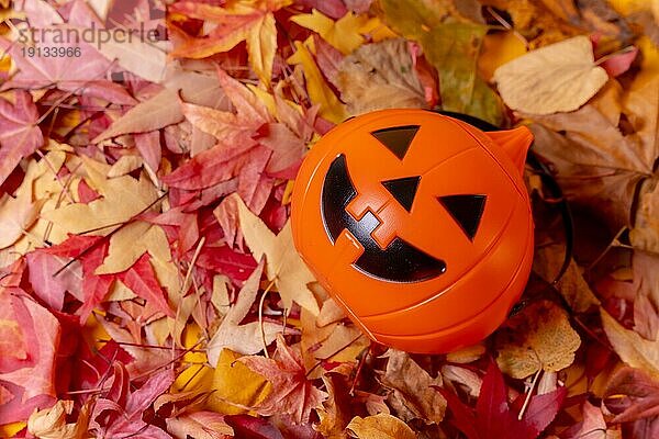 Foto eines Halloween Kürbisses auf einem Hintergrund aus roten Herbstblättern