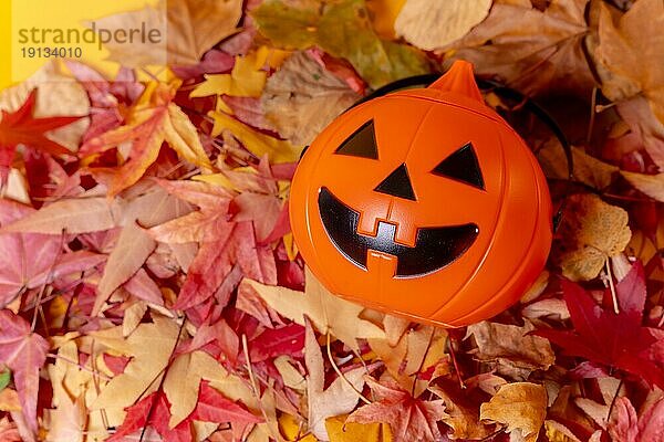 Foto eines Halloween Kürbisses auf einem Hintergrund aus roten Herbstblättern