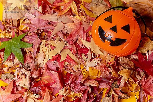 Foto eines Halloween Kürbisses auf einem Hintergrund aus roten Herbstblättern