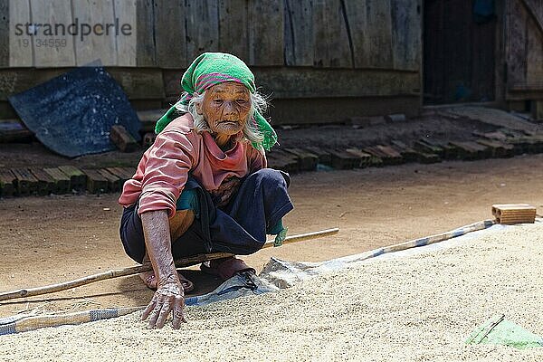 Alte Frau beim Reis trocknen  Vietnam  Asien