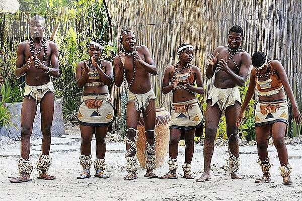 Traditionelle afrikanische Tanzgruppe  Botswana  Afrika
