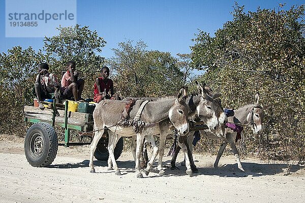 Kinder mit Eselkarren  Botsuana