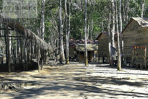 Traditionelles Holzhaus im Dorf der Tuyuca Eingeborenen  Manaus  Bundesstaat Amazonien  Brasilien  Südamerika