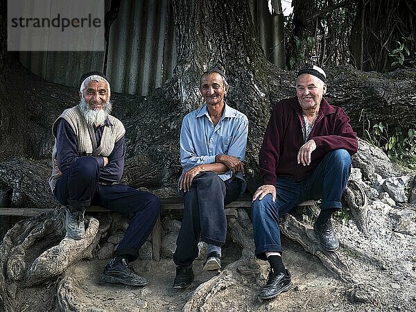 Drei Männer sitzen auf Bank unter einem Baum  Arslanbob  Kirgistan  Asien