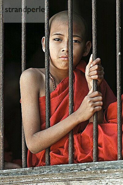 Novize  junger Mönch  an Gitter-Fenster  Myanmar  Burma  Birma  Südostasien  Asien