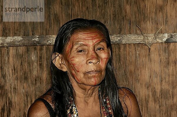 Porträt einer Indianerin vom Stamm der Dessanos mit traditionellen Gesichtsmalereien  Rio Taruma  Manaus  Bundesstaat Amazonas  Brasilien  Südamerika