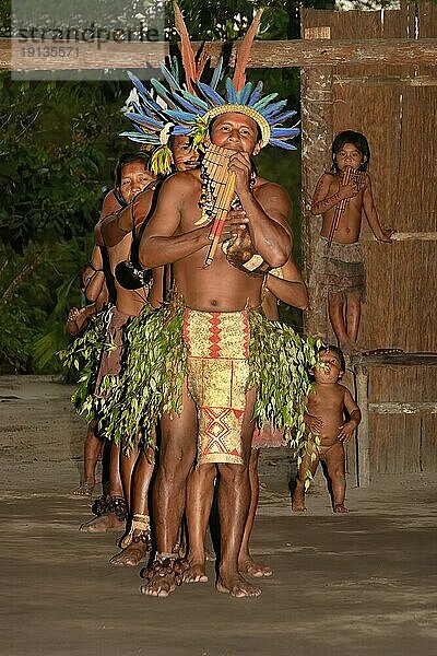 Traditioneller Stammestanz des Dessanos Stammes mit Gesichtsbemalung und einem traditionellen Hut aus Federn  Rio Taruma  Manaus  Bundesstaat Amazonas  Brasilien  Südamerika