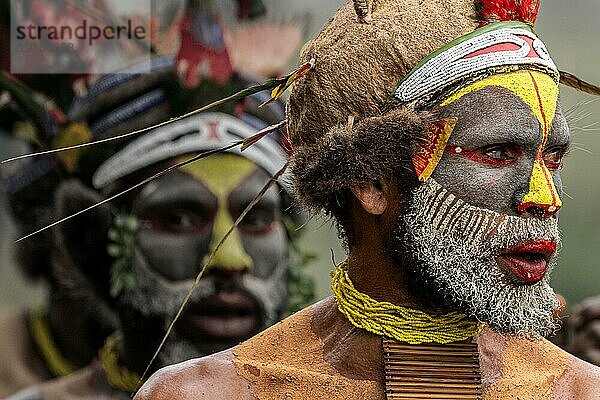 Tänzer in Kriegsbemalung  Sing Sing  Festival  Mount Hagen  Papua Neu-Guinea