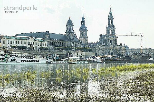 Dresden am Elbufer in hochsommerlicher Hitze  der Elbpegel ist nach lokalen Geittergüssen noch normal