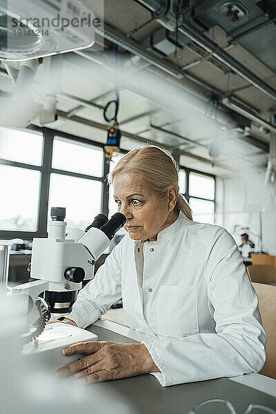 Leitender Wissenschaftler arbeitet mit Mikroskop im Labor