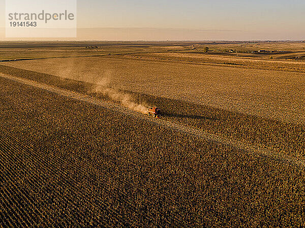 Combine harvester in vast corn farm