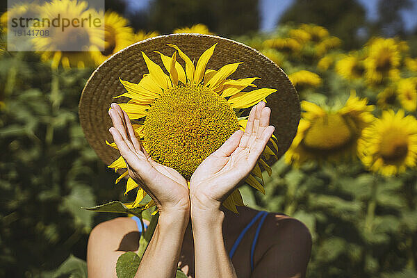 Verspielte Frau bedeckt Gesicht mit Sonnenblume