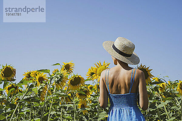 Frau im blauen Kleid blickt auf Sonnenblumen im Feld