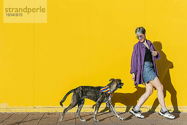 Happy lesbian woman playing with dog in front of yellow wall at sunny day