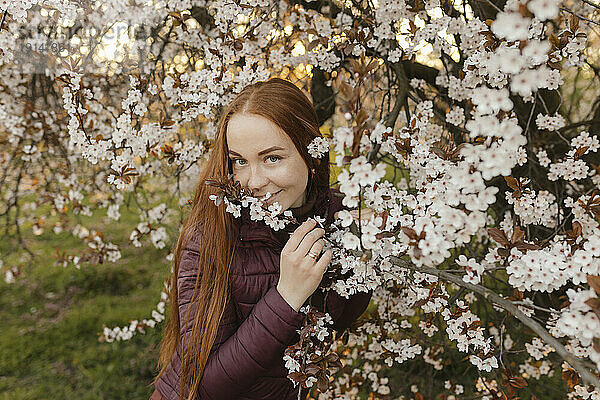 Lächelnde rothaarige Frau riecht Blumen in der Nähe eines Baumes im Park