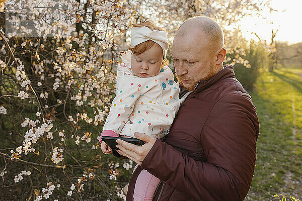 Vater teilt Smartphone mit Tochter in der Nähe eines Baumes im Park