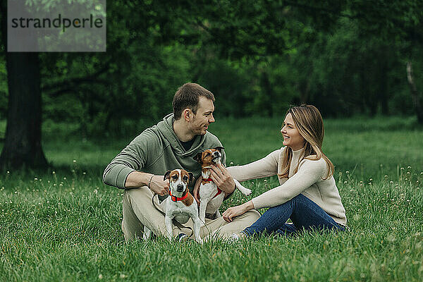 Glückliche Männer und Frauen genießen es mit Jack-Russell-Terrier-Hunden im Park