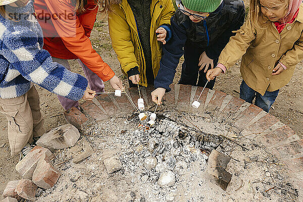 Kinder rösten gemeinsam Marshmallows am Feuer