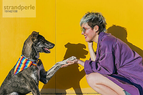 Lächelnde lesbische Frau beim Händeschütteln mit Hund vor gelber Wand