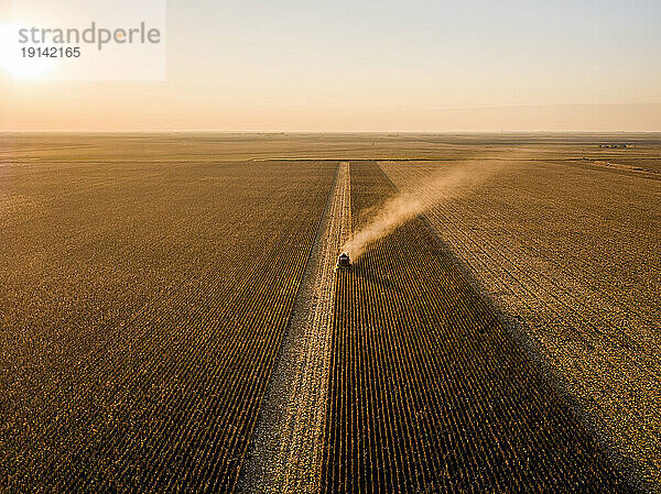 Combine harvester harvesting crops in vast corn field
