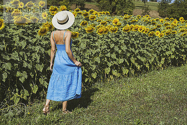 Frau mit Hut blickt auf Sonnenblumen im Feld